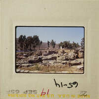 The image shows an archaeological site with ruins and trees under a clear sky.