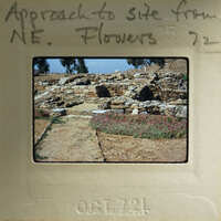 A vintage photograph of an archaeological site with ruins and flowers.