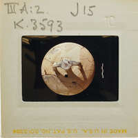 Reassembled Mycenaean stirrup jar from the top K.3593.