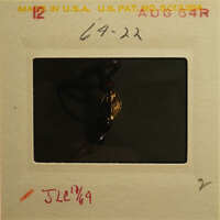 A photograph of an antique necklace with a gold clasp.