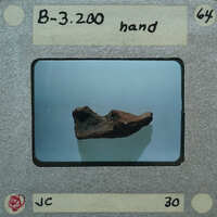 A photograph of a rock with handwritten notes on the border, possibly indicating its type or classification.