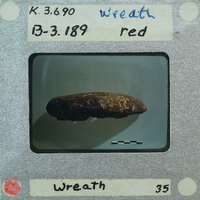 A small, brownish-red object on a white background with labels and measurements around it.
