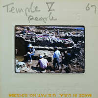 A group of people working on an archaeological site, excavating and studying ancient ruins.