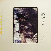 A photograph showing an outdoor scene with a rock-lined path and vegetation, possibly taken from a historical perspective.