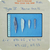 A collection of bone tools on a blue background with labels and measurements.