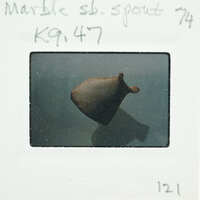 A small, brown mushroom growing on a surface.