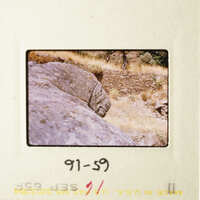 A rocky landscape with a dirt road and a small tree, captured in an old photograph.