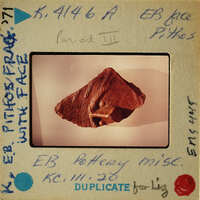 Ancient pottery shard with markings on display.