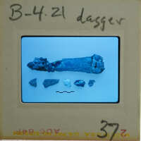 A photograph of a fossilized bone with fragments and labels, displayed on a card.
