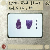 Image of two purple objects with a label indicating "Red Flint" and date.