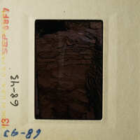 A photograph of an open film cartridge with a dark brown, possibly rocky interior.