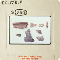 A collection of ancient pottery shards on display.