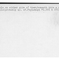 Index card with typed and handwritten information, sometimes including a sketch, of pottery from an excavation.