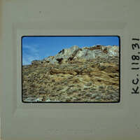 A photograph of a rocky hillside with sparse vegetation.