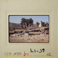 A photograph showing an outdoor scene with trees, ruins, and a clear sky.