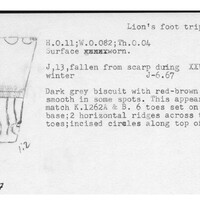Index card with typed and handwritten information, sometimes including a sketch, of pottery from an excavation.