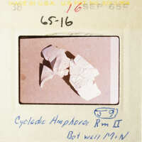 The image shows a microscope slide with a broken glass fragment on it, labeled "Cyclicidic Ampohore."