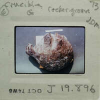 Half-dome stone object on surface.