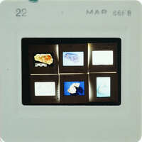 A slide with images of frescoes