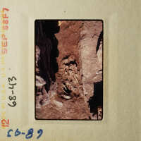 The photo shows an ancient cave with rock formations and possibly fossils, as indicated by the writing on the slide.