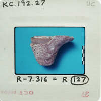 An image of a small, broken ceramic object on a blue background with a label and numbers written on it.