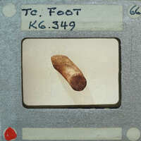 A vintage film strip with a handwritten label and an image of a brown object resembling a sausage or meat product.