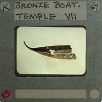 Picture of a small fish on film strip with label.