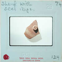 A small, brownish potery fragment with a button-like appearance.