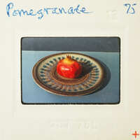 A photograph of a pomegranate on a decorative plate, enclosed within an album page with handwritten text and numbers.