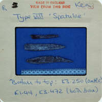 Three pointed bone tools on blue surface.