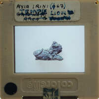 Small rock on display with label and barcode.