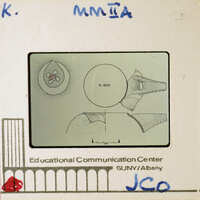 The image shows two black and white photos of a slide with a diagram on it, which appears to be related to an educational setting.