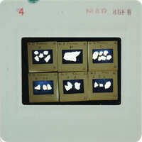 A slide of multiple slides of painted wall plaster fragments