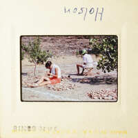 Two people working on planting in an outdoor setting.