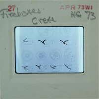 A close-up image of a film strip with various images and text, including the word "CRETE".