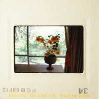 The images show two different scenes, one with flowers and another with a vase.