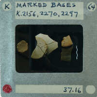 Image of a film strip with an X-ray showing broken bones.