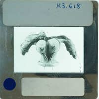 Terracotta figurine torso from front.