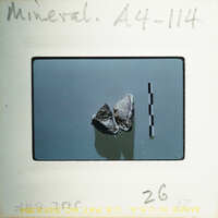 The image shows a small rock specimen with measurement lines, indicating its size on a scale.