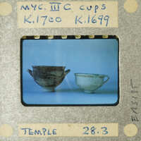 Two cups on a table.