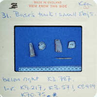 Collection of bone tools with holes for assembly.