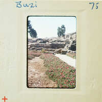 Old photograph of ancient ruins with a field of flowers, framed by white borders and corners.