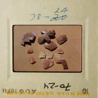 A collection of small, brown shards on a table, possibly broken pieces of pottery.