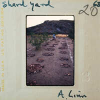 A vintage photograph of a rocky field with piles of stones, possibly indicating agricultural activity.