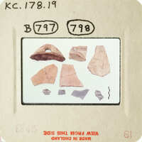 Collection of ancient pottery shards on display.