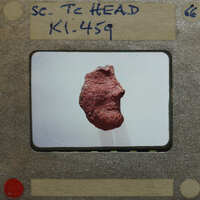 Broken fragment of terracotta figurine head (K1.459) in profile.