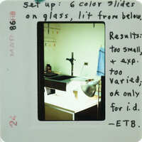 A slide with images of frescoes with a note about the results and an ID number.