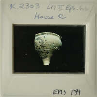 Ancient pottery with markings, photographed on a slide and labeled "EMS 171".