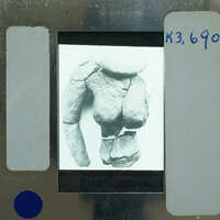 A black and white image of a fossilized human upper body on film.