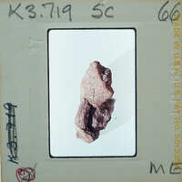 A photograph of a small, irregularly shaped rock with various shades of red and brown on a white background.